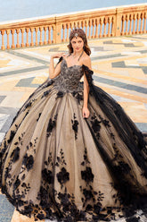 Black Sparkle Off-Shoulder Quinceanera Dress with Apricot Applique