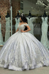 Princess Quinceanera Dress with Sparkly Silver Cold Shoulder and Beaded Applique on Tulle