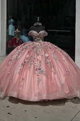 Off-the-Shoulder Quinceanera Dress with Sparkly Rose Appliques and 3D Flowers