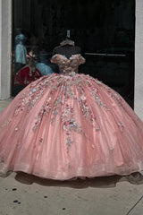 Off-the-Shoulder Quinceanera Dress with Sparkly Rose Appliques and 3D Flowers