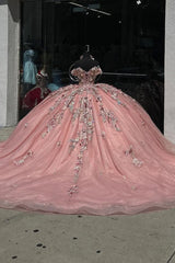 Off-the-Shoulder Quinceanera Dress with Sparkly Rose Appliques and 3D Flowers