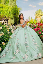 Sweetheart Applique Ball Gown for Quinceanera in Sage Cold