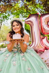 Sweetheart Applique Ball Gown for Quinceanera in Sage Cold