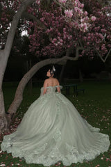 Off the Shoulder Grey Green Sparkly Tulle Quinceanera Ball Gown with Applique
