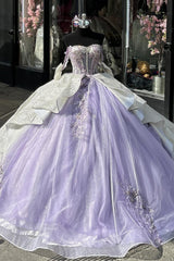 Off the Shoulder Lilac Glitter Tulle Ball Gown with Applique for Quinceanera