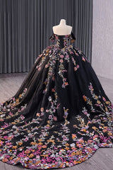 Princess Quinceanera Dress in Black with Off-the-Shoulder Sequin Applique and Embroidery
