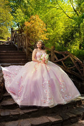 Sweetheart Ball Gown in Blush Tulle with Flower Appliques for Quinceanera