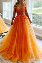Blush A-Line Long Prom Dress with Deep V Neckline and Princess Appliques
