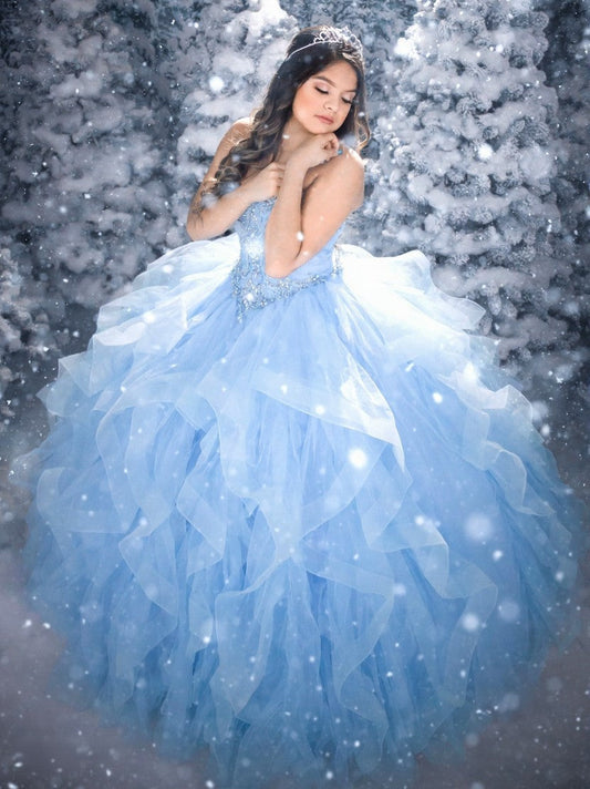 Winter Quinceanera Dresses