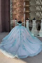 Off-the-Shoulder Quinceanera Ball Gown in Green Pink with Sequin Applique