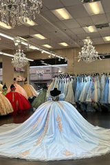 Light Blue Sparkly Floral Princess Tulle Quinceanera Dress with Off-the-Shoulder Applique