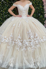 Off-the-Shoulder Tulle Quinceanera Dress with Apricot Applique