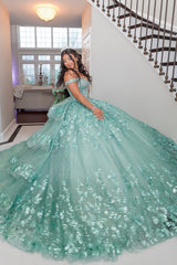 Green Sparkle Off-Shoulder Beaded Tulle Quinceanera Ball Gown with Applique