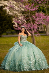 Green Sparkle Off-Shoulder Beaded Tulle Quinceanera Ball Gown with Applique