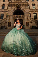 Green Sparkle Off-Shoulder Beaded Tulle Quinceanera Ball Gown with Applique