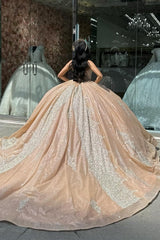 Champagne Glitter Princess Tulle Dress with Beaded Sweetheart Applique and Sequins for Quinceanera