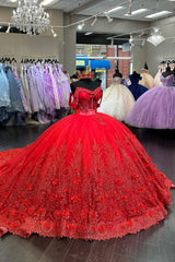 Off the Shoulder Light Blue Tulle Ball Gown with Applique for Quinceanera