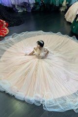Off the Shoulder Applique Tulle Ball Gown in Blush for Quinceanera