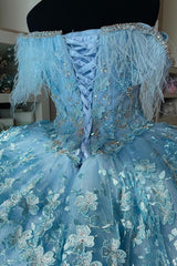 Sweetheart Princess Quinceanera Dress in Sky Blue with Feather Applique
