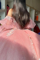 Off-the-Shoulder Blush Pink Ball Gown with Long Sleeves and Tulle Applique for Quinceanera