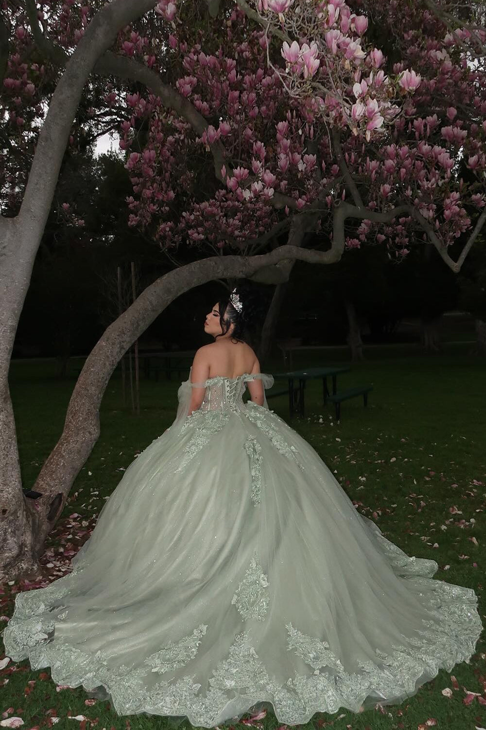 Off the Shoulder Grey Green Sparkly Tulle Quinceanera Ball Gown with Applique