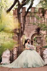Princess Off-the-Shoulder Quinceanera Dress in Dusty Sage with Applique Tulle