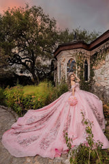 Off the Shoulder Princess Dress in Sparkly Blush Pink with Sequin Applique and Train