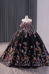 Princess Quinceanera Dress in Black with Off-the-Shoulder Sequin Applique and Embroidery