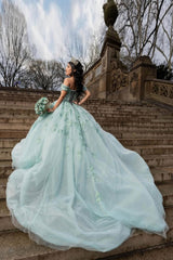 Green Off-the-Shoulder Princess Ball Gown with Floral Appliques for Quinceanera