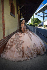 Off the Shoulder Sparkly Gold Tulle Quinceanera Dress with Rose Ball Gown Appliques