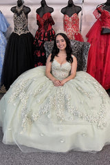 Sparkly Ball Gown Quinceanera Dress with Apricot Corset and Appliques