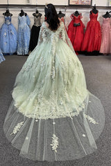 Sparkly Ball Gown Quinceanera Dress with Apricot Corset and Appliques
