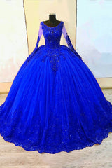 Quinceanera Dress with Sparkly Purple Princess Ball Gown Long Sleeves and Appliques