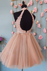 Sparkly Blush A-Line Short Tulle Homecoming Dress/Mini Dress with Lace