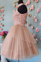 Sparkly Blush A-Line Short Tulle Homecoming Dress/Mini Dress with Lace