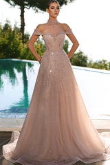 Champagne Off the Shoulder A Line Formal Dress Halter Tulle With Appliques